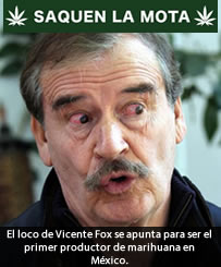 vicente fox